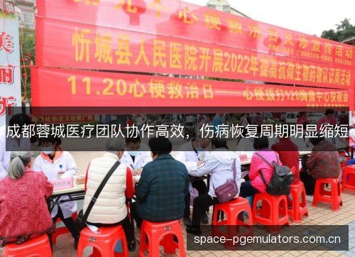 成都蓉城医疗团队协作高效，伤病恢复周期明显缩短