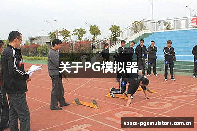 关于PG模拟器
